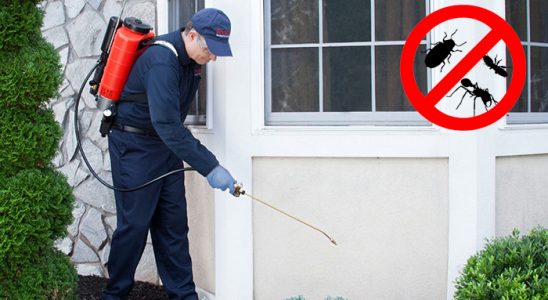 Çeltikçi Dezenfeksiyon böcek ilaçlama ve haşere kontrolü — ilaclama-tr.com